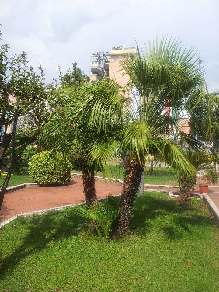 Hotel De La Ville Central Latina Fasilitas foto